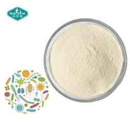 Probiotic Powder Manufacturer - Professional Multi-Strains Drink Powder