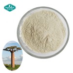 猴面包树粉源头工厂-有机冻干水果粉