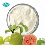 番石榴粉源头工厂-冻干水果汁100%纯度
