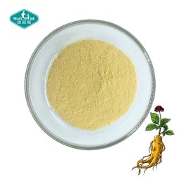 Ginseng Extract Powder Factory - Panax Root Extract Supplement