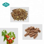 南非醉茄胶囊供应商-有机根提取物睡眠支持