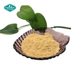 Monk Fruit Powder Factory - Luo Han Guo Concentrated Sweetener