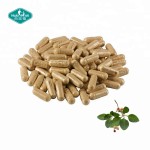 南非醉茄胶囊供应商-有机根提取物睡眠支持