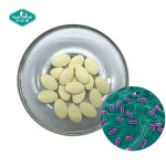 益生菌片供应商-600亿CFU咀嚼消化
