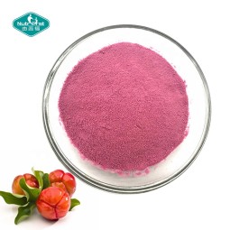 Acerola Cherry Powder Manufacturer - 17% 20% 25% 34% VC