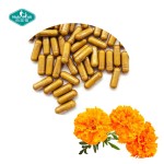 叶黄素胶囊源头工厂-草本玉米黄质视力支持