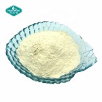 Monk Fruit Powder Factory - Luo Han Guo Concentrated Sweetener