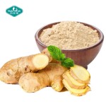 姜提取物粉源头工厂-10:1姜辣素根油树脂