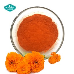 Lutein Powder Manufacturer - 20% Marigold Zeaxanthin Vision