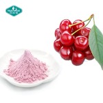 针叶樱桃粉生产厂家-17% 20% 25% 34% VC