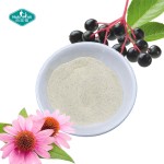 Elderberry Powder Manufacturer - Propolis Echinacea Nutrient Blend