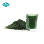 Spirulina Powder Supplier - OEM Organic Vitamins Minerals Premix