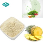 Bromelain Powder Manufacturer - Organic Pineapple Enzyme Extract