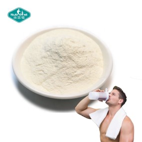 蛋白粉源头工厂-定制肌肉增长多种氨基酸