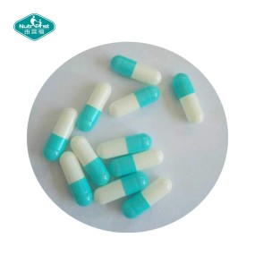 Empty Capsules Manufacturer - Customization HPMC Vegetarian Clear