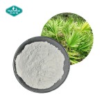 锯棕榈粉供应商-25% 45%脂肪酸提取物