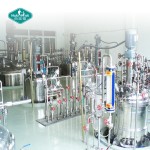 葡萄糖胺粉源头工厂-纯素HCL原料补充剂