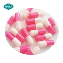 Empty Capsules Factory - Halal Customized Gelatin HPMC Bulk