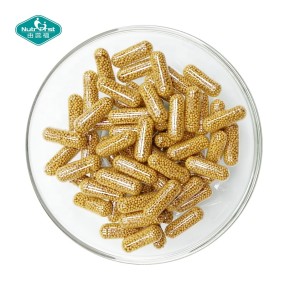 Vitamin Capsules Supplier - Slow Release Zinc Biotin Complex