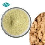 姜提取物粉源头工厂-10:1姜辣素根油树脂