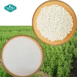 甜菊糖提取物生产厂家-RA98%甜味剂苷90%