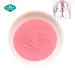 L-Arginine Powder Manufacturer - OEM Blood System Superfood Supplements