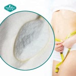 乙酰左旋肉碱粉供应商-98%碱基瘦身原料