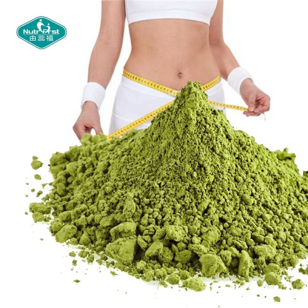 辣木提取物粉生产厂家-有机叶提取物批量