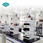 L-Arginine Capsules Factory - Extended Release Folic Acid Micropellets