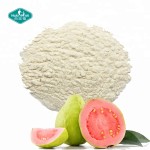 番石榴粉源头工厂-冻干水果汁100%纯度