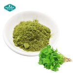 香菜粉生产厂家-100%纯冻干食品添加剂