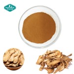 Tongkat Ali Powder Manufacturer - 200:1 Eurycomanone Root Extract