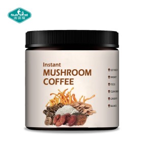Mushroom Extract Powder Factory - 6 Blend Immune Support Supplement
