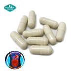 益生菌胶囊生产厂家-嗜酸菌片定制包装