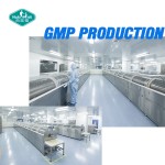 奶蓟草软胶囊生产厂家-CGMP认证有机水飞蓟素提取物