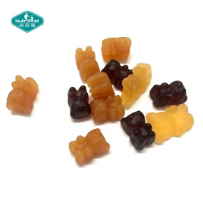 Prenatal Gummies Manufacturer - Chewable Folic Acid DHA Pregnant