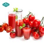 Tomato Powder Supplier - Freeze-Dried Lycopene Instant Drink