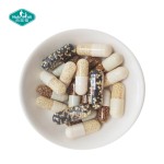 Iron Supplement Capsules Supplier - Delayed Release Ferrous Complex