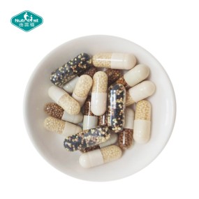 Iron Supplement Capsules Supplier - Delayed Release Ferrous Complex