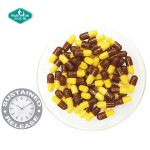 Vitamin B Capsules Factory - Delayed Release B-100 Complex Beadlets