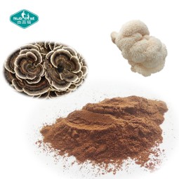 Mushroom Complex Powder Factory - Chaga Cordyceps Mental Performance