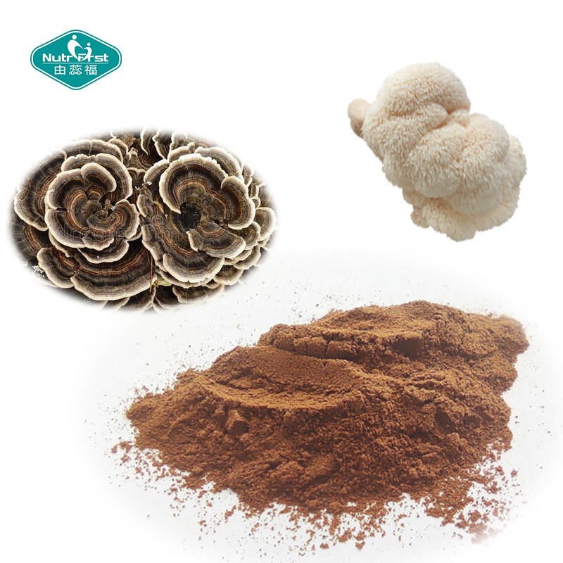 Mushroom Complex Powder Factory - Chaga Cordyceps Mental Performance