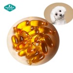 Pet Fish Oil Softgel Factory - High EPA DHA Small Dogs Puppies