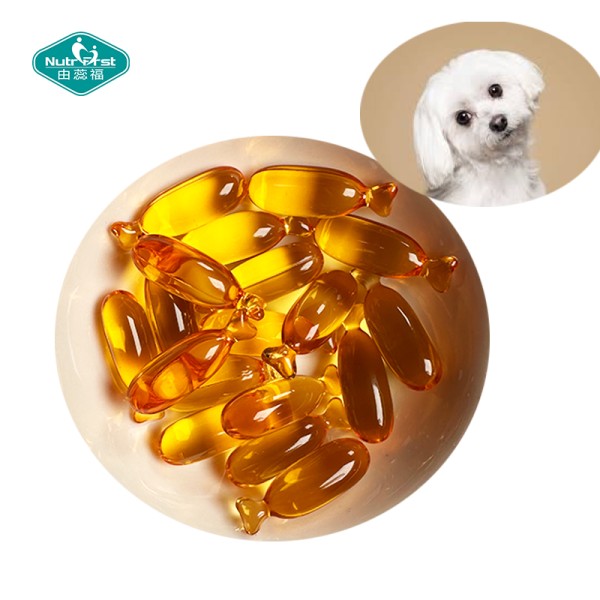 Pet Fish Oil Softgel Factory - High EPA DHA Small Dogs Puppies