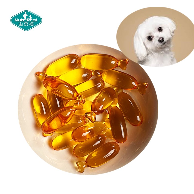 Pet Fish Oil Softgel Factory - High EPA DHA Small Dogs Puppies