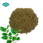 武靴叶粉源头工厂-25% 50% 75%武靴叶酸叶