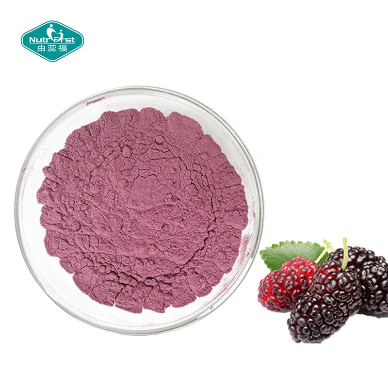 Mulberry Powder Manufacturer - 100% Juice Concentrate Freeze Dried