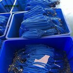 Antistatic Floor Mat Grounding Cord Manufacturer - Workstation Mat Cord