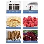 Vacuum Freeze Dryer Supplier - Traditional and Manifolds Laboratory Lyophilizer