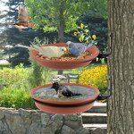 Bird Bath Bowl Factory - Bird Trays Tree Mounted Installed on Wooden Fence Wall
